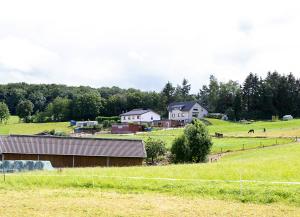 NettersheimFerienwohnung Roderath的田野里养着房子和马的农场