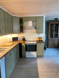 莫拉Utmelandsvägen 41 Helt hus的厨房配有绿色橱柜和炉灶。 顶部烤箱