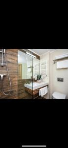 巴库里阿尼Orbi Palace, room 536的一间带水槽、卫生间和镜子的浴室