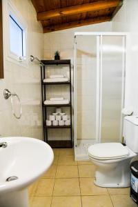 阿斯卡斯Sophias Cottage的浴室配有卫生间、淋浴和盥洗盆。