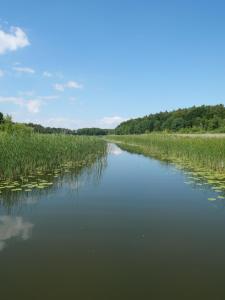雷希林Lütt Hütt的一条河,河的两边有高大的草