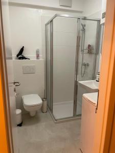格拉茨Zentrum & Parkmöglichkeit Apartment的带淋浴、卫生间和盥洗盆的浴室
