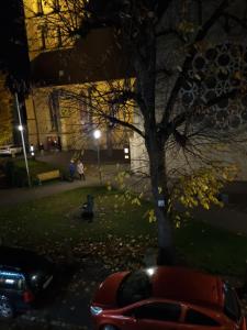 NordwaldeHotel Zur Krone的夜间停在树旁的红色汽车