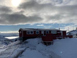 西西缪特isi4u hostel, dogsled, snowmobiling的雪覆盖的山顶上的房子