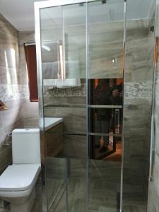 杜劳Casa Serban的一间带卫生间和玻璃淋浴间的浴室