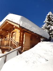 阿雷什Le Refuge des Marmottes的小木屋,屋顶上积雪