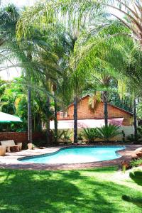 LephalaleDe la Rose Guesthouse的庭院内棕榈树游泳池