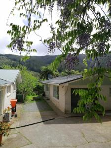 上哈特Cozy guesthouse at the Rabbithole, Akatarawa Valley的享有带车道的房子的景色