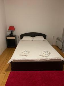切尔诺夫策Mini-Hotel Sakvoyage的一间卧室配有一张红色地毯的大床