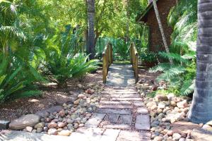LephalaleDe la Rose Guesthouse的穿过种有岩石和棕榈树的花园的步道