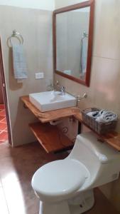 拉基拉Hotel Suamena的一间带卫生间、水槽和镜子的浴室