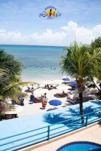 El YaqueHotel Posada La Mar的享有棕榈树海滩和大海的景色