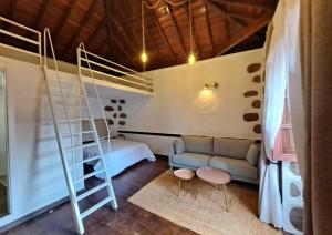 克鲁兹·德·特赫达RK La Casona de Tejeda的一间带梯子、沙发和床的房间