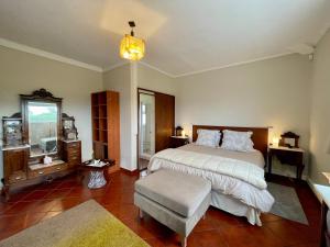 莫什泰鲁什Carpe Diem Azores的卧室配有床、椅子和窗户。
