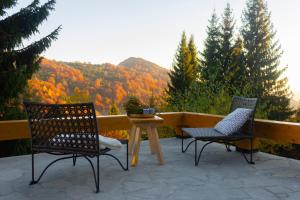 科帕奥尼克4Badgers / 4Jazavca - Mountain House的美景庭院设有两把椅子和一张桌子