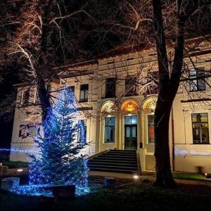 蔡茨Villa Prestige的建筑前的蓝圣诞树