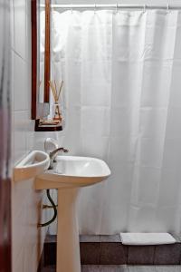 坦迪尔Hotel El Paraiso De La Sierra的浴室设有水槽和白色的淋浴帘