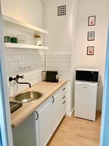 索普隆Fidelissima Apartman的一间带水槽和微波炉的小厨房