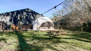 科克赛德Romantische glamping dome Koksijde - Duiniek的相册照片