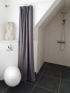 纳克斯考Ezzo guest house的带淋浴帘和卫生间的浴室