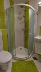 戈雷尼斯卡地区采尔克列Apartma Krvavec的带淋浴、卫生间和盥洗盆的浴室