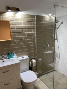 蒂米什瓦拉Maremi的带淋浴、卫生间和盥洗盆的浴室