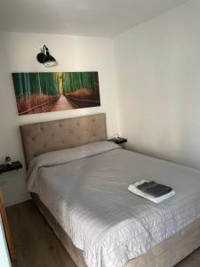 蒂米什瓦拉Maremi的卧室内的一张床铺,墙上挂着一幅画