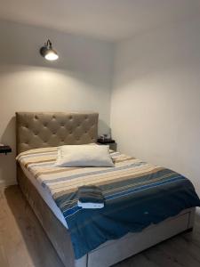 蒂米什瓦拉Maremi的一间卧室配有一张大床和床头板