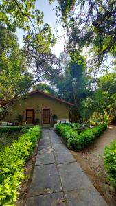 塔拉Bandhavgarh Jungle Lodge的相册照片