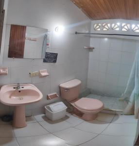 塔甘加hostal alquimista的一间带粉红色卫生间和盥洗盆的浴室