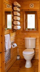 KettlebridgeThe Steadings Log Cabins的小木屋内带卫生间的浴室