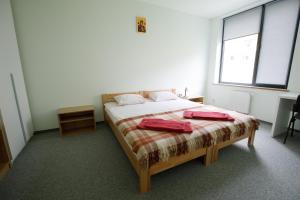 利沃夫UCU INN - Кімнати для гостей的一间卧室配有一张带两个红色枕头的床