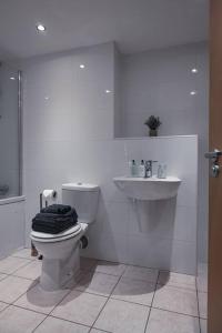 格拉斯哥West End Escape - 5 Star Luxury - Prime Location的一间带卫生间和水槽的浴室