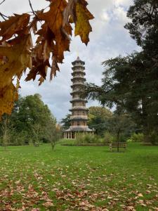 Kew GardensBy the Pagoda- cozy garden flat by Richmond & Kew Gardens的相册照片