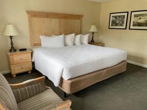 巴港Moseley Cottage Inn and The Town Motel的一间卧室配有一张大床、两个床头柜和椅子
