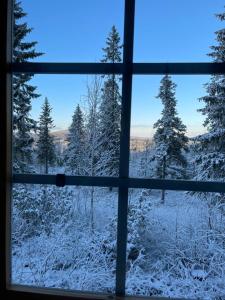 索特Syöte Luppomaja的享有雪覆盖森林的窗户