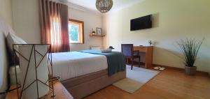 维拉诺瓦-德法马利Villam Natura & Spa的一间卧室配有一张床、一张书桌和一台电视