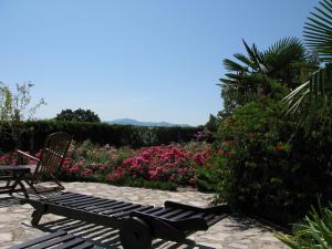 莫什尼卡德拉加Bed and Breakfast Villa Iris的花园旁的长凳,花朵粉红色
