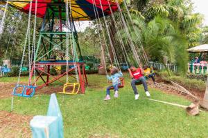 内罗毕Olive Green Garden Resort的一群儿童在公园里玩秋千