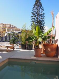 马拉加SUITES 9 MALAGA, three unique suites with private plunge pool的相册照片