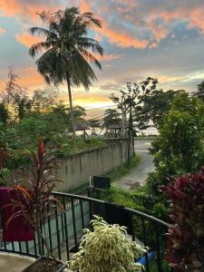 韦利格默Rusara Guest Home的享有棕榈树街道的景色