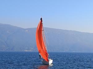 加尔尼亚诺迦尼巴塔贝尔酒店的一艘在水中装有橙色帆的帆船