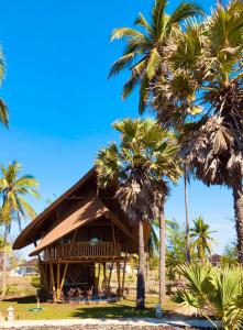 MaujawaTanoma Sumba的海滩上种有棕榈树的度假村