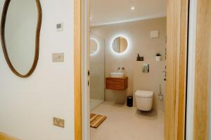 滕比Beavers Lodge. Luxury Property with Hot Tub的一间带卫生间、水槽和镜子的浴室