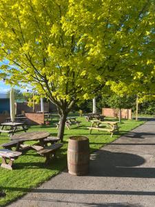 锡斯凯尔The Red Admiral Gosforth CA20 1BP的公园里设有野餐桌,树上有黄叶
