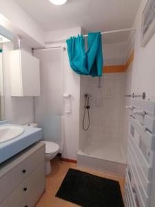 圣费朗索瓦-隆尚Appartement cosy 27 m2 idéal 5 personnes的一间带卫生间和蓝伞的浴室