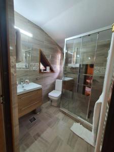 杜劳Casa Serban的带淋浴、卫生间和盥洗盆的浴室