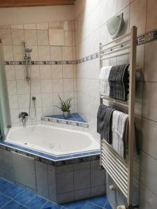 齐勒谷地里德Ferienwohnung Christina的客房内的浴室设有大浴缸