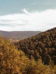 苏维里Agotzenea - Alojamiento con encanto en un entorno rural的从山顶的树木上欣赏美景