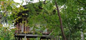 锡吉里亚Sigiri Panaromic Tree House的树中间的树屋